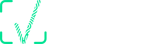 VLens